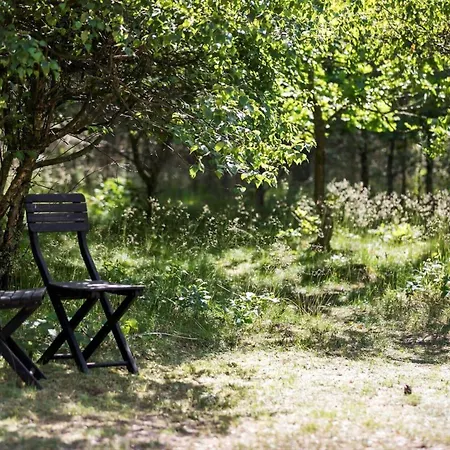 Feriehus 1599 Aakirkeby - Fyrreskoven 19 *